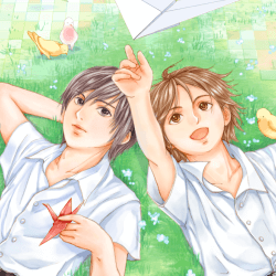 bl封面 bl cover